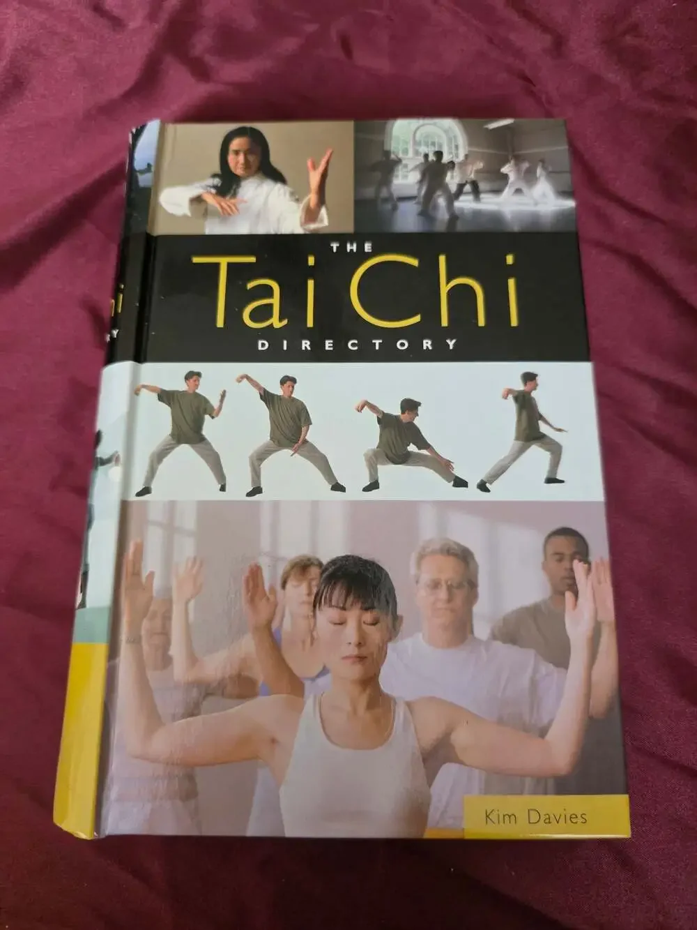 The Tai Chi Directory by Kim Davies (Hardcover)